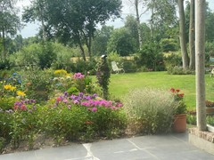 IMG_4525.JPEG
