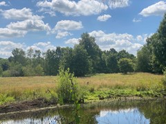 IMG_4509.JPEG