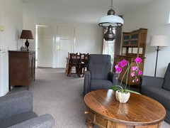 IMG_3993.JPEG