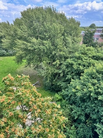 Medium property photo - Leerdamhof 88, 1108 BH Amsterdam