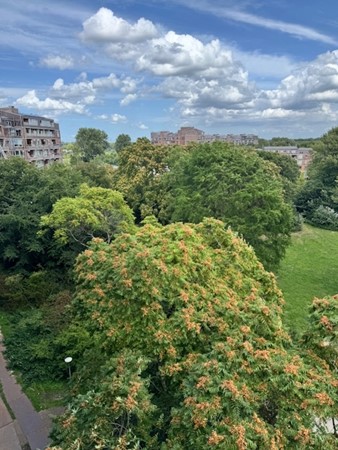 Medium property photo - Leerdamhof 88, 1108 BH Amsterdam