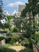 IMG_2209.JPG