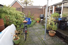 Tuin1.JPG