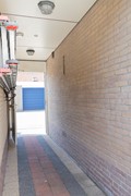 IMG_2295.jpg