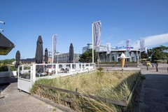 IMG_2374.jpg