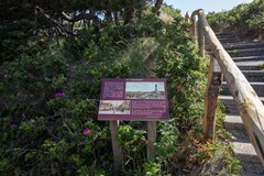 IMG_2377.jpg