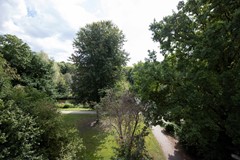 IMG_5176.jpg