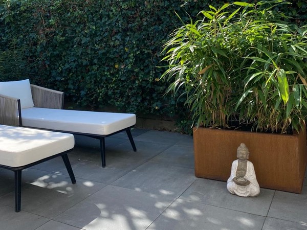 Medium property photo - Wijzend, 1862 HJ Bergen (Nh)