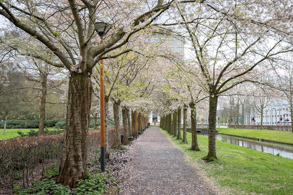 Medium property photo - Handelsweg, 1181 ZA Amstelveen