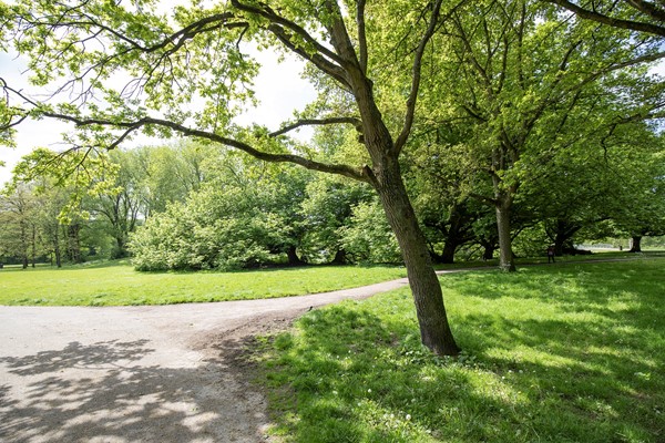 Medium property photo - Jan Evertsenstraat 709, 1061 XZ Amsterdam