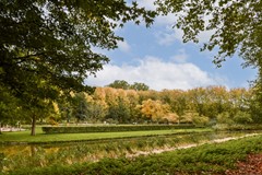 Sanderijnstraat 54-1 - 24.jpg