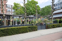 70.jpg