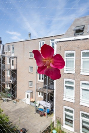 Medium property photo - Albert Cuypstraat, 1073 BD Amsterdam