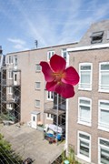 New for rent: Albert Cuypstraat, 1073 BD Amsterdam
