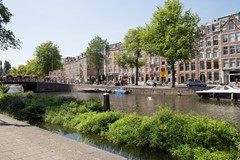 IMG_7603.jpg