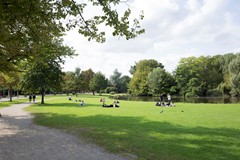 79.jpg