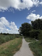 IMG_1471.jpg