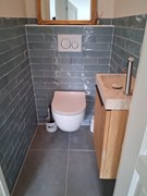 toilet.jpg