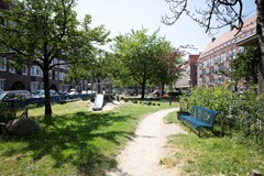 IMG_5889.jpg