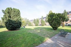 IMG_5896.jpg