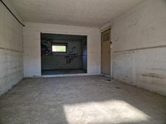 20250815_102048.jpg