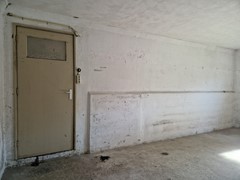 20250815_102122.jpg