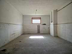 20250815_102128.jpg