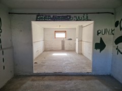 20250815_102134.jpg