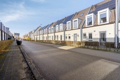 Hermelijnvlinderdijk1073544ZDUtrechtNL-02.jpg