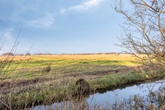 Egelshoek121213RDHilversum-26.jpg