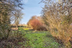 Egelshoek121213RDHilversum-33.jpg