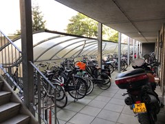 thumbnail_IMG_6069.jpg