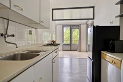 Pernambucodreef133563CRUtrechtNL-17.jpg