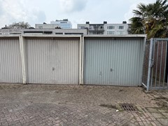 IMG_6789.jpeg