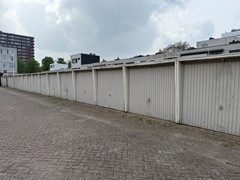 IMG_6790.jpeg