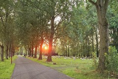 Onder bod: Pieter Aertsenhage 64, 3437 NW Nieuwegein