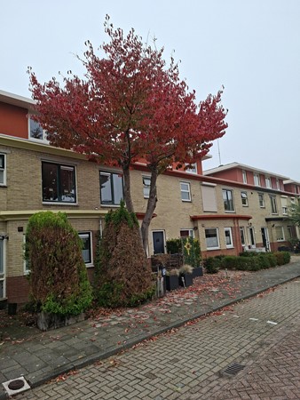 Medium property photo - Govert Flinckhage 28, 3438 JD Nieuwegein