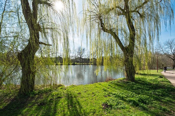 Medium property photo - Reigersbek 78, 3434 XM Nieuwegein