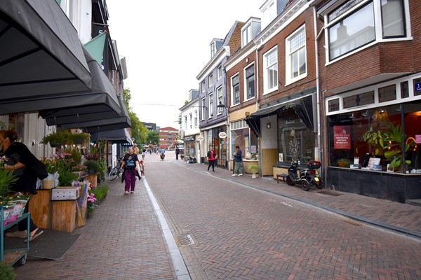 Medium property photo - Twijnstraat 77, 3511 ZJ Utrecht