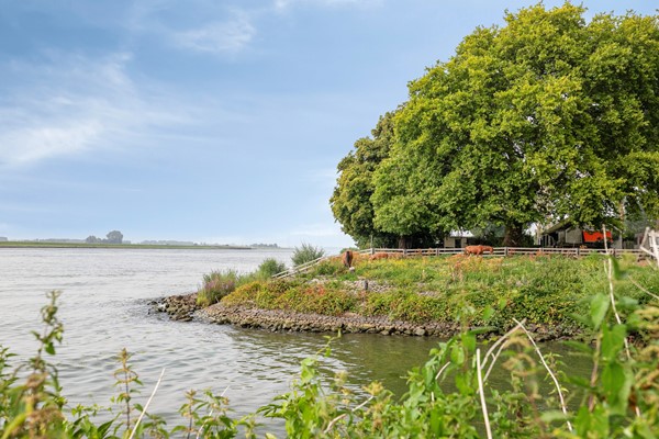 Medium property photo - Rijksstraatweg 186-611, 3316 EJ Dordrecht