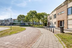 ChicoMendesring2463315nnDordrecht-01.jpg