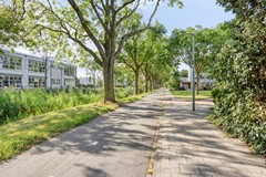 ChicoMendesring2463315nnDordrecht-51.jpg