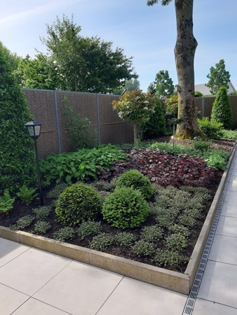 Medium property photo - Achterzeedijk 1A160, 2991 SB Barendrecht