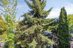 CDTuinenburgstraat21b3078gbRotterdam-18.jpg