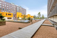JanPettersonstraat863077mnRotterdamNL-31.jpg