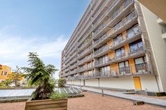 JanPettersonstraat863077mnRotterdamNL-32.jpg