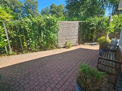 20260729_113658_resized.jpg