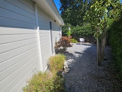 20260729_113817_resized.jpg