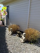 IMG-20260805-WA0007.jpg