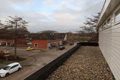 IMG_3281.JPG